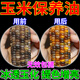 文玩玉米保養(yǎng)油血絲苞米養(yǎng)護(hù)手把件玉化提升上色包漿拋光手串防裂 文玩玉米保養(yǎng)油【1瓶裝】