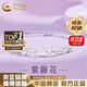 中國黃金（CHINA GOLD）足銀手鏈紫藤花手鏈?zhǔn)执p奢小眾高級(jí)感手飾七夕送女朋友生日禮物 京速達(dá)*紫藤花手鏈【小版-品牌禮盒】