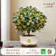 靜黛軒四季桂花盆栽開(kāi)花室內辦公室綠植好養桌面室內花卉凈化空氣 四季桂60-70cm招財進(jìn)寶-圓白