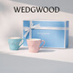 Wedgwood[11.11保價(jià)]歡愉假日馬克杯情侶對杯杯子水杯咖啡杯高顏值 歡愉假日藍粉馬克杯 2個(gè) 350ml