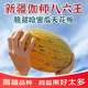 裕農(nóng)叔新疆伽師八六王哈密瓜【順豐JD】新鮮當(dāng)季老漢香甜蜜瓜孕婦水果 4-5斤裝(1-2枚特大果)商超嚴(yán)選