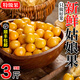 東北姑娘果新鮮當季水果5斤黃菇娘燈籠果大果甜菇娘特產(chǎn)順豐包郵 凈重0.8-1斤【品質(zhì)好果】