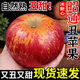 2025年正宗云南昭通蘋果當(dāng)季新鮮甜脆多汁昭通糖心丑萍果整箱 5斤 小果【單果60-70mm】