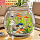 貝初眾魚(yú)缸小型魚(yú)缸圓形塑料缸仿玻璃一體生態(tài)桌面缸家用客廳金魚(yú)斗魚(yú)缸 輕巧高透魚(yú)缸21*16*17cm【中號】 高透pet仿玻璃材質(zhì) 裸缸 打不破 摔不碎 久用不糊