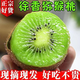 帆兒莊園現貨徐香彌泥猴桃獼猴桃綠心奇異果綠果新鮮水果整箱當季孕婦正宗 【美味試吃】小果 6枚 單果50-70g