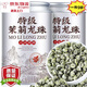 【胖東來甄選】茉莉龍珠特級1斤裝特級正宗2025新好茶茉莉花精品 特級茉莉龍珠[9A濃香型]一罐250克