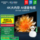創(chuàng  )維電視 43英寸小尺寸 真4K才清晰 2G運行內存 健康護眼 防藍光護眼 智能投屏 臥室老人電視 43英寸 43BC20 有網(wǎng)絡(luò )就能看的電視