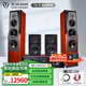 天逸（Winner）TD-8 童笛8號(hào) 家庭影院套裝5.1音響組合 家用功放k歌音響套裝 TD-8 (五件套)不含功放