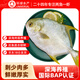 環(huán)球水產 南海特大金鯧魚 750g1條  BAP認證 生鮮魚類 海鮮水產 家庭聚餐