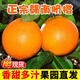 江西贛南臍橙新鮮水果整箱10斤橙子當季冰糖果凍橙甜榨汁專(zhuān)用 10斤 60-70mm