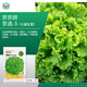 京農研農科院蔬菜種子大葉香菜四季小蔥雞毛菜紅莧菜芝麻菜空心菜種籽孑 京選-3大速生菜 1克