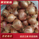 正宗純東北大毛蔥新笨毛蔥珠蔥大個(gè)紅蔥頭干蔥頭炸蔥油蔥酥炒菜 2斤 中果雞蛋黃大小