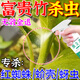 富貴竹殺蟲(chóng)劑觀(guān)音竹紅蜘蛛網(wǎng)白虱蚧殼蚜蟲(chóng)水培植物滅菌除蟲(chóng)專(zhuān)用藥 【預防蟲(chóng)害】買(mǎi)二送一 300ml 3瓶