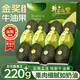 山姆大叔云南孟連牛油果【閃送】哈斯當季孕婦禮物新鮮水果禮盒中秋禮品 精品中果（單果100-130g） 4枚裝（輕享嘗鮮裝）較劃算