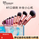 Real TechniquesRT化妝刷10件套裝夢(mèng)幻迷你化妝刷修容散粉腮紅遮瑕面部眼部刷