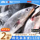 昌鮮園米魚舟山野生鮸魚新鮮海捕冷凍整條大米魚生鮮鰲魚海鮮水產(chǎn)大米魚 【1-1.3斤/條】2條裝