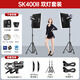 神牛（Godox）E250攝影閃光燈SK400ii二代專業(yè)室內(nèi)攝影棚打光燈250W證件照打光燈SK300W靜物產(chǎn)品拍照400W補光燈 SK400WII閃光燈雙燈套裝A【送X2T引閃器】