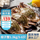 至鮮 梭子蟹2.6斤/5-6只整只當(dāng)季液氮冷凍梭子蟹4-6兩/只呂四黃海新鮮螃蟹海鮮