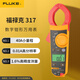福祿克（FLUKE）F317 真有效值交直流數(shù)字鉗形表 電流表萬(wàn)能表鉗形萬(wàn)用表 600A
