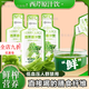 北京同仁堂芹菜汁降丨血壓西芹汁寧夏原汁飲原漿鮮榨果蔬汁代餐芹菜汁養(yǎng)生飲 鮮榨西芹原汁【30·ml*50袋】
