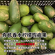 有機檸檬新鮮有機黃檸檬四川檸檬安岳優(yōu)力克云南香水檸檬鮮檸檬 云南有機瑕疵果5斤-無(wú)籽-適合自用 有機標：一箱一碼