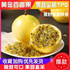 騎猴趕馬欽蜜9號(hào)黃金百香現(xiàn)摘現(xiàn)發(fā)酸甜可口百香果生鮮水果黃金百香果 3斤【單果30-45g】?jī)糁?.5斤