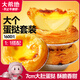 大希地 蛋撻組合1.6kg 撻皮30個(gè)+撻液500ml*2 烘焙蛋撻半成品 帶錫底
