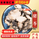 北京同仁堂包郵 中藥材 豬苓 250g新貨精選長(zhǎng)白山豬令無(wú)硫熏 豬苓100克