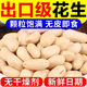 辰之源出口花生米無(wú)殼香酥鹽焗原味熟花生仁去皮零食堅果牛扎糖原料 [組合裝]鹽焗500克+原味500克