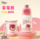 迪士尼（Disney）兒童保溫杯316男女小學(xué)生上學(xué)專(zhuān)用550ml吸管水壺帶杯套10655-4