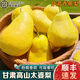 南步甘肅太婆梨【順豐到家】軟糯香甜香蕉梨大頭梨茄梨軟梨水果禮盒 凈重5斤精選大果【約10-12個(gè)】
