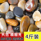 寵街坊鵝卵石雨花石原石天然石子魚缸花盆鵝軟石庭院裝飾石頭2KG