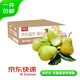 京鮮生   國產(chǎn)青啤梨 凈重3斤 單果150g+ 新鮮水果 源頭直發(fā)