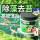 百因美（BIOZYM）魚池除藻劑粉劑魚缸除清苔不傷魚錦鯉消化細(xì)菌戶外池塘除苔滅綠藻 除藻去苔劑500g