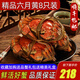 【活蟹】陽澄清歆大閘蟹 鮮活特大螃蟹公蟹母蟹 海鮮水產(chǎn)生鮮禮盒 精品全母蟹2.5-2.8兩 八只禮盒裝