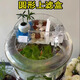 桶裝水改魚(yú)缸過(guò)濾循環(huán)系統上置器圓形魚(yú)缸養魚(yú)專(zhuān)用水泵礦泉水瓶 大【適口徑18-21cm】 濾盒+內置水泵+培菌石