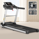 海斯曼家用電動(dòng)跑步機折疊簡(jiǎn)安裝寬跑帶室內家庭有氧運動(dòng)健身器材 豪華版-藍牙/數碼屏/寬大跑臺