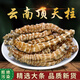 北京同仁堂云南頂天柱500g蟲草參地參干淫花果男士回春草泡【頂天柱500克】手工精選大條