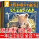 【全套7冊】小熊和最好的爸爸注音版 一年級必讀繪本課外書帶拼音阿蘭德丹姆著全套正版世界上最好的爸爸小熊和他最好的爸爸貴州人民出版社 【注音版】小熊和最好的爸爸 貴州人民出版社