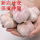 【超低價(jià)】金鄉(xiāng)紫皮大蒜頭干蒜批發(fā)新鮮便宜特大果多瓣紅皮蒜 帶箱5斤大蒜精選超大果
