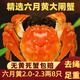 【活蟹】陽澄靖壹 大閘蟹2.0-2.3兩8只鮮活六月黃去繩凈重螃蟹水產(chǎn)禮盒裝源頭直發(fā)包郵