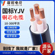 聯(lián)陽電纜 充電樁電纜 YJV國標(biāo)阻燃2*10（10米） 2*10