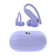 魔聲Beats Powerbeats Pro 2 高性能無線運動主動降噪藍(lán)牙耳機 紫色
