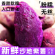 紫薯新鮮板栗紅薯2025番薯地瓜蜜薯糖心山芋煙薯香薯蔬菜農(nóng)家自種 9斤 大果(5兩以上)