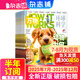 7-8月現(xiàn)貨 萬物雜志2025年訂閱 8-15歲青少年科學科普 3D圖解知識 中小學生課外科普百科通識 How it works 中文版期刊半年/全年可選少兒閱讀雜志鋪環(huán)球科學青少年版非英文版過刊 【