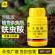 史丹利呋蟲胺殺蟲劑呋蟲咹蚧殼蟲蟑螂花卉植物多肉土壤專用小白藥100g