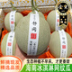 譯蒙之味正宗冰淇淋網(wǎng)紋蜜瓜玫龍瓜甜瓜當(dāng)季新鮮水果整箱 5斤優(yōu)選【2-4個(gè)】