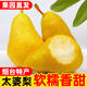 粵迎山東煙臺(tái)太婆梨【收到放軟再吃】新鮮水果梨子當(dāng)季整箱軟糯香甜好 凈4-5斤精選果【單果100g+】