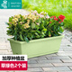 墨斗魚(yú)霍倫盆種菜花盆草綠色*2家用育苗盆長(cháng)方形種植多肉箱陽(yáng)臺種菜箱