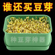 家用發(fā)豆芽工具神器食品級(jí)發(fā)芽盆生綠豆芽方法芽花生芽專用盆種植 豆芽盒1個(gè)裝